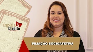 Explica Direito Filiação Socioafetiva  2019 [upl. by Llacam482]