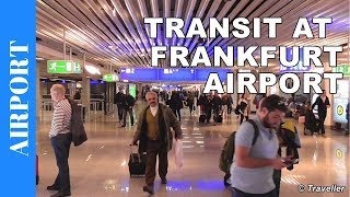 TRANSIT WALK AT FRANKFURT Airport FRA Terminal 1  Connection Flight Transfer Arriving amp Departing [upl. by Acirret]